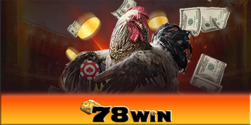 Tương lai của đá gà 78win